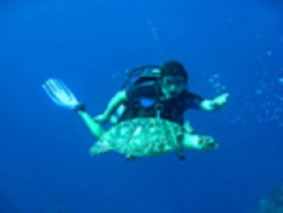 Buceando con tortugas